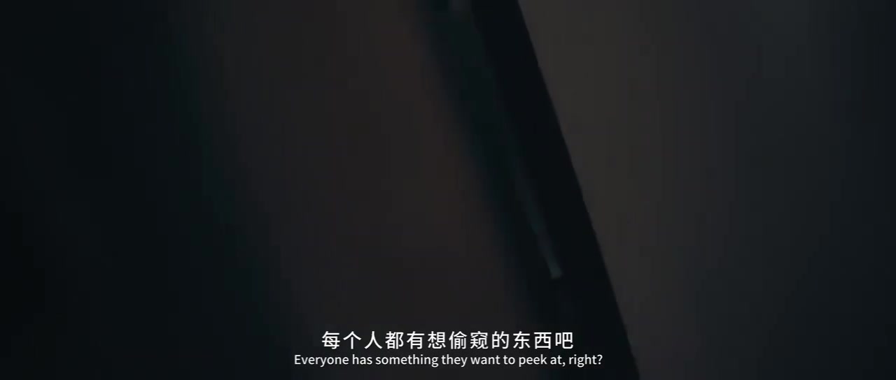 引导犯罪？以偷窥女性为主要内容的真人互动游戏《监寓》上架Steam